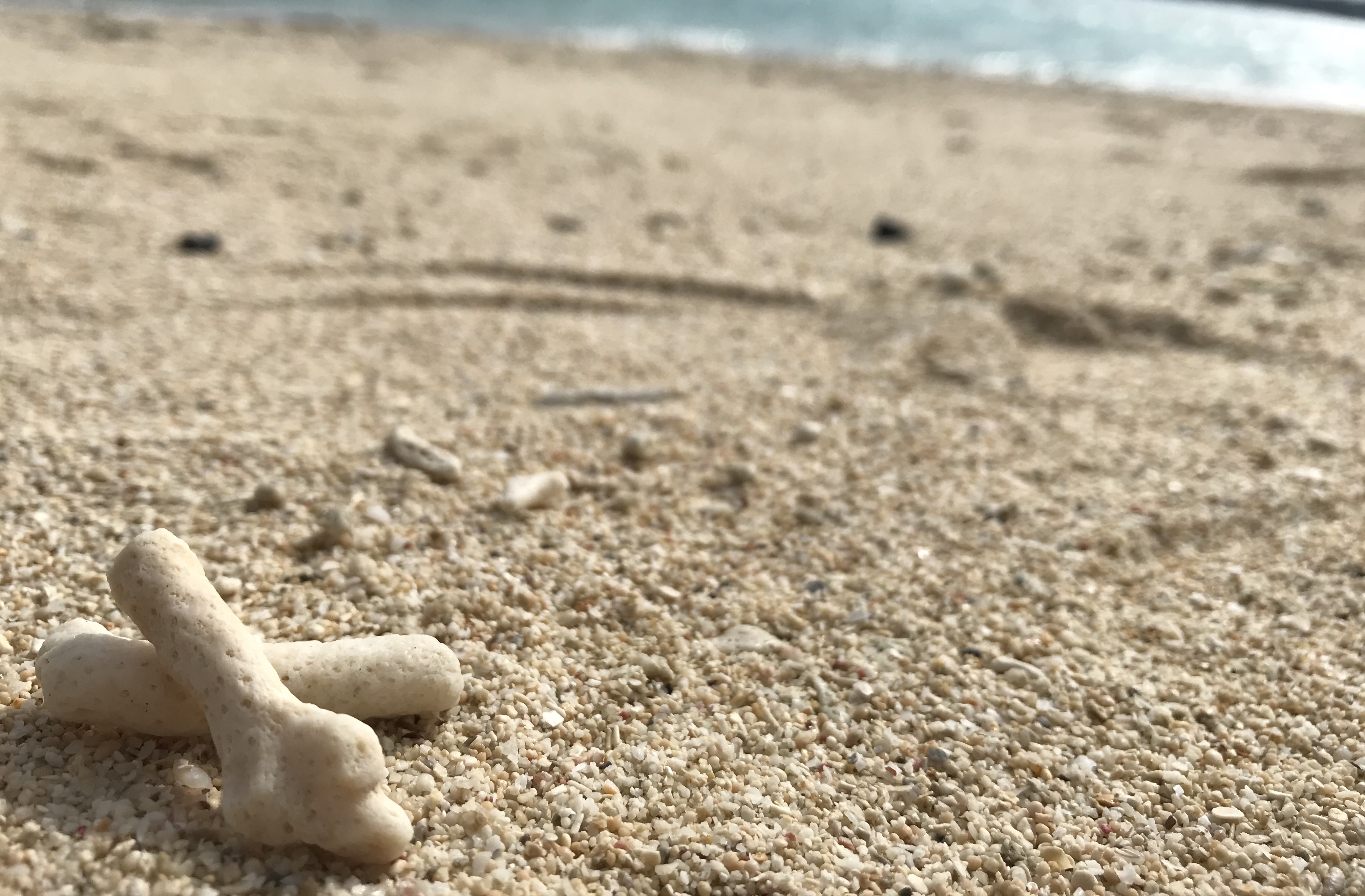 About us visualization