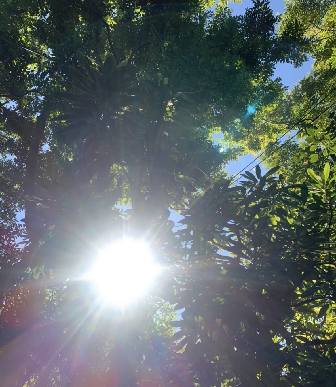 Brand concept visualization